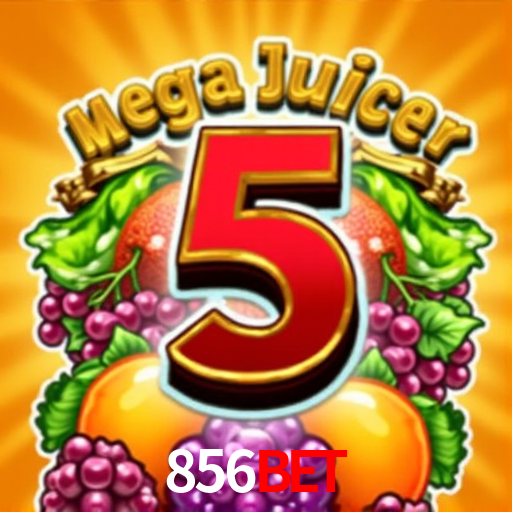 Crash Games Statistics 856bet